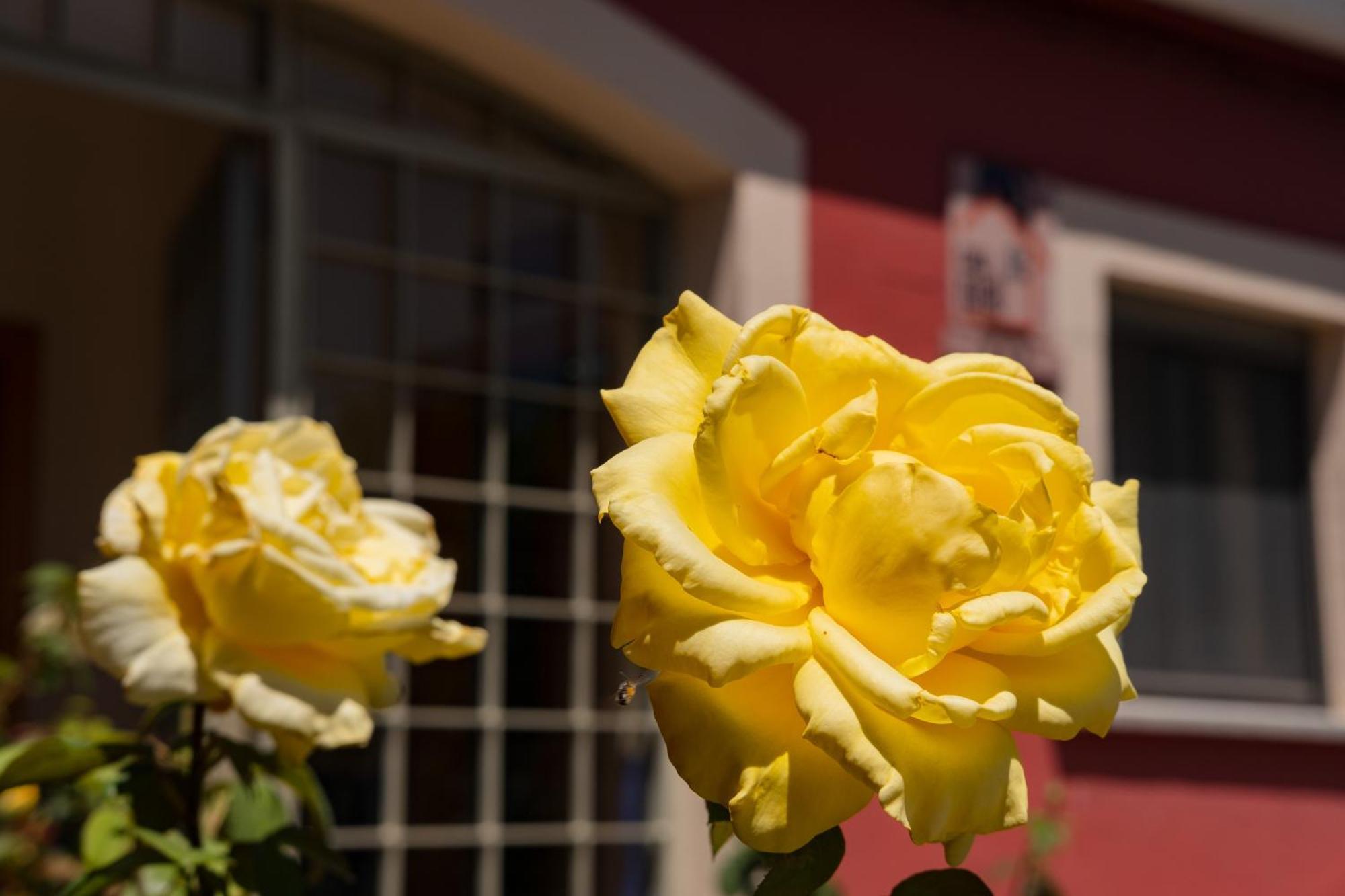 Casa Rural Rinconada La Rinconada de la Sierra Eksteriør billede